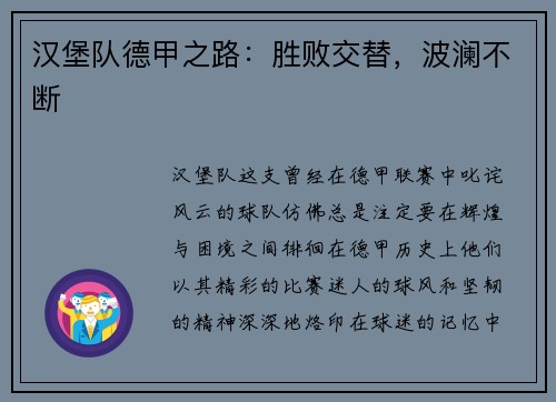 汉堡队德甲之路：胜败交替，波澜不断